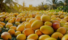 Load image into Gallery viewer, Mango Body Butter